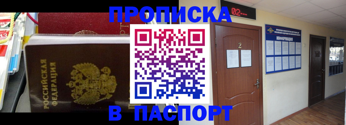 прописка гарантия в Апатитах